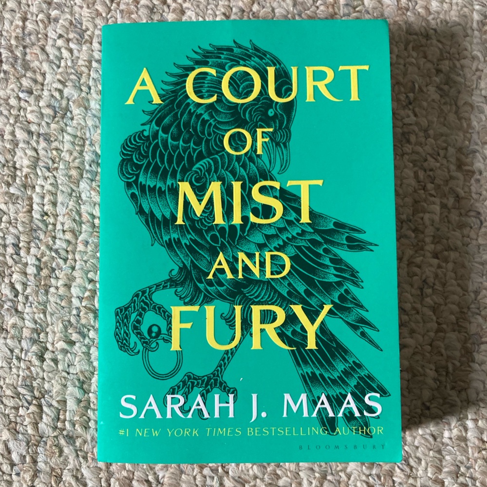A Court of Mist and Fury Book